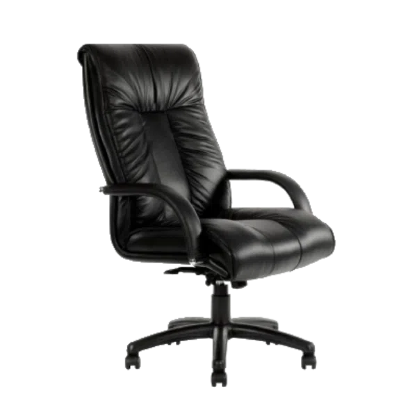 Leather Chairs
