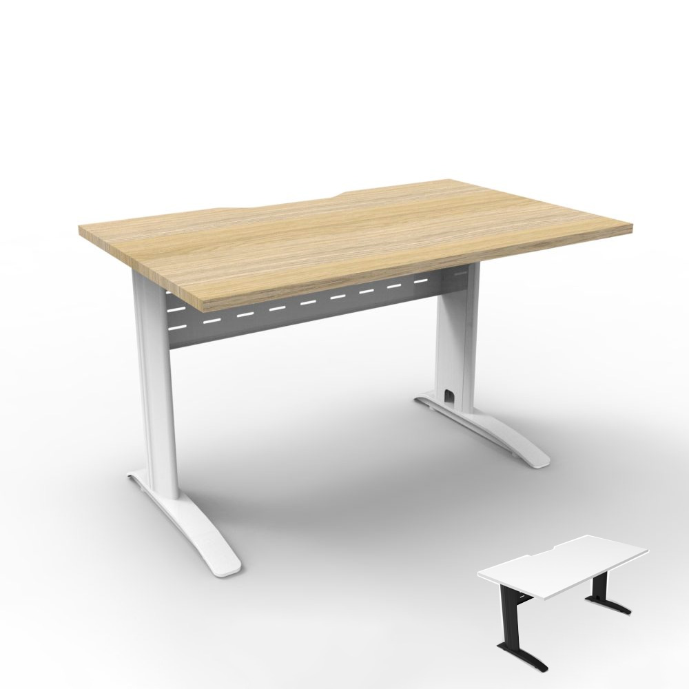 Height Adjustable Desk with Privacy Panel