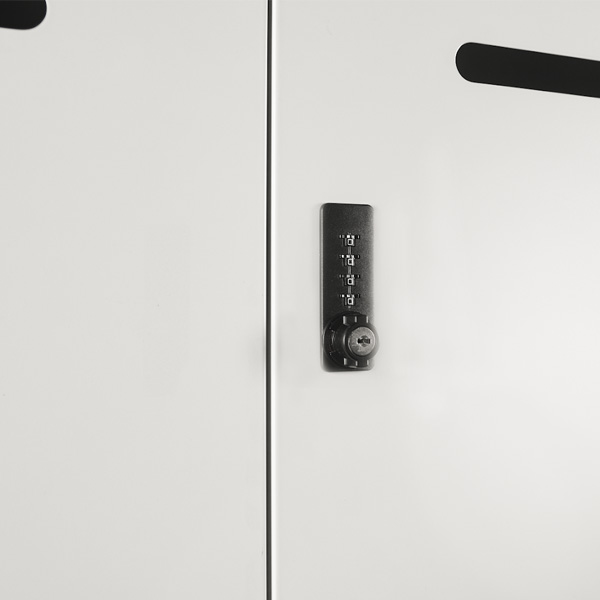 Buy Cannon 6-Door Mail Slot Steel Locker Online | BDO Furniture